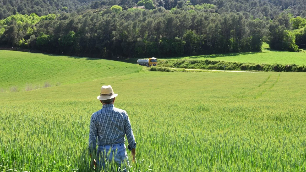 Seguro rural: entenda o que é e como funciona