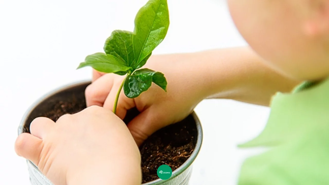 Consórcio Magalu para itens sustentáveis: entenda o que é