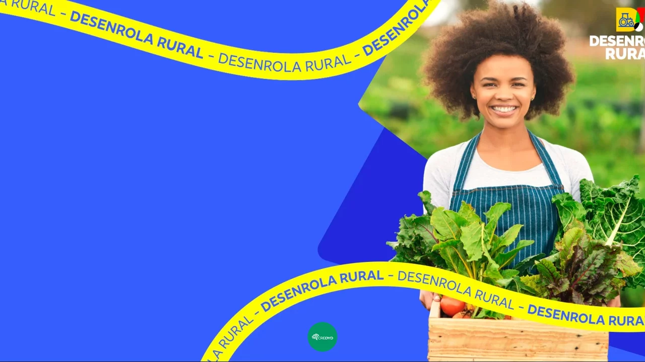 Programa Desenrola Rural: Saiba como participar